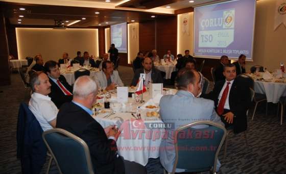 Çorlu Tso`dan Meslek Komiteleri Toplantısı - 4