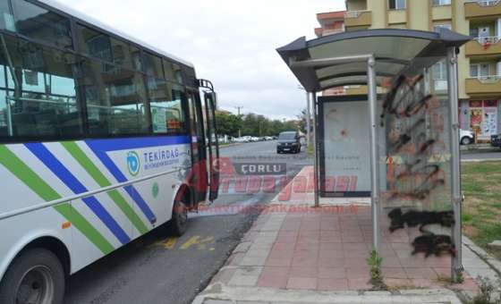 Kendini Bilmezler! - 1