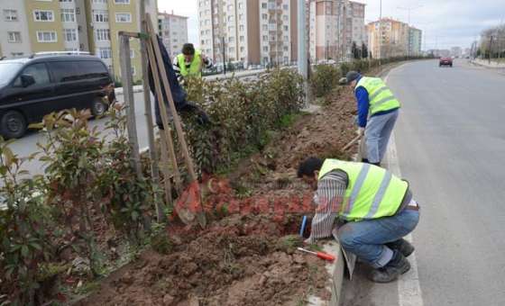 Bülent Ecevit Bulvarı'na Damlama Sistemi
