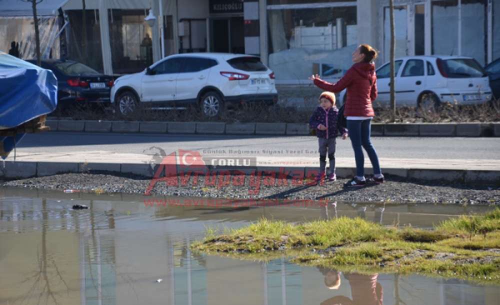 Yine Aynı Manzara - 3