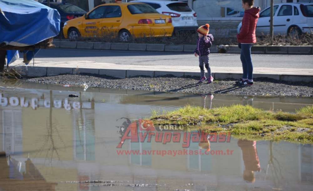 Yine Aynı Manzara - 4