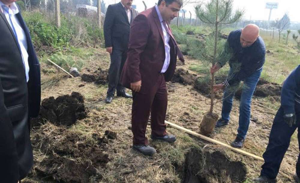 Ergene – 1 Osb Ağaçlandırıldı - 1