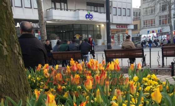 Çorlu Çiçek Açtı - 3