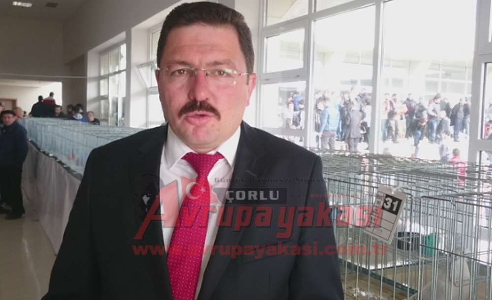 Araba Fiyatına Güvercin - 3