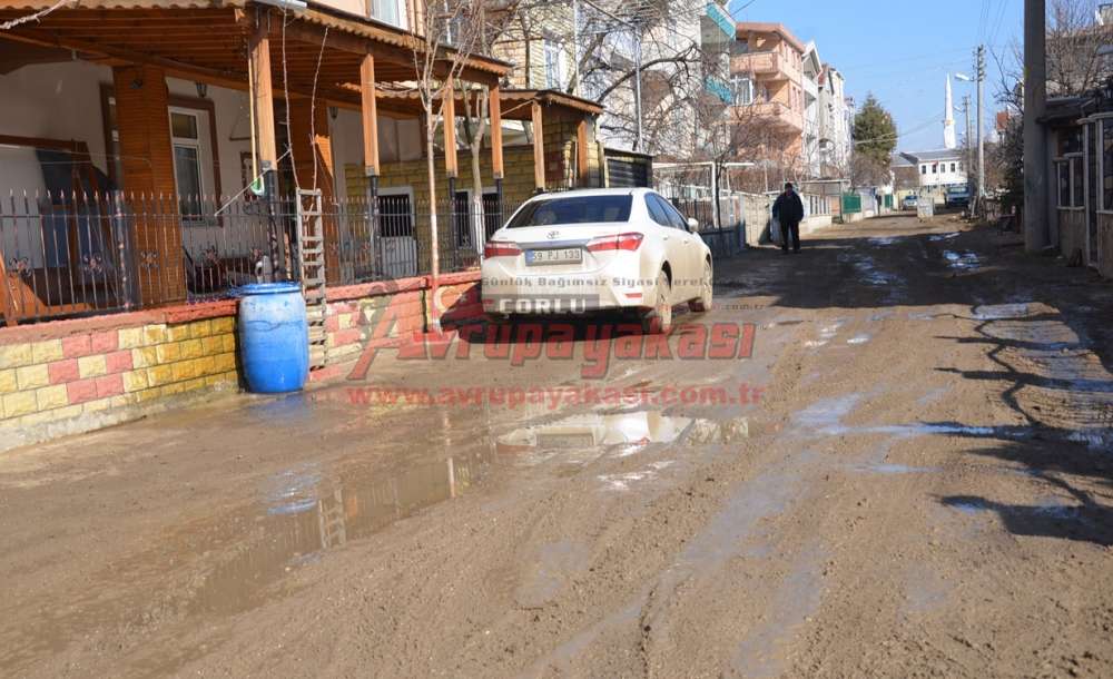 “Gülleri Bırak Yollara Bak” - 1