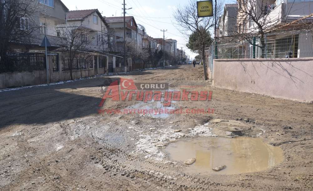 “Gülleri Bırak Yollara Bak” - 2