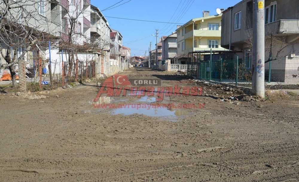 “Gülleri Bırak Yollara Bak” - 5