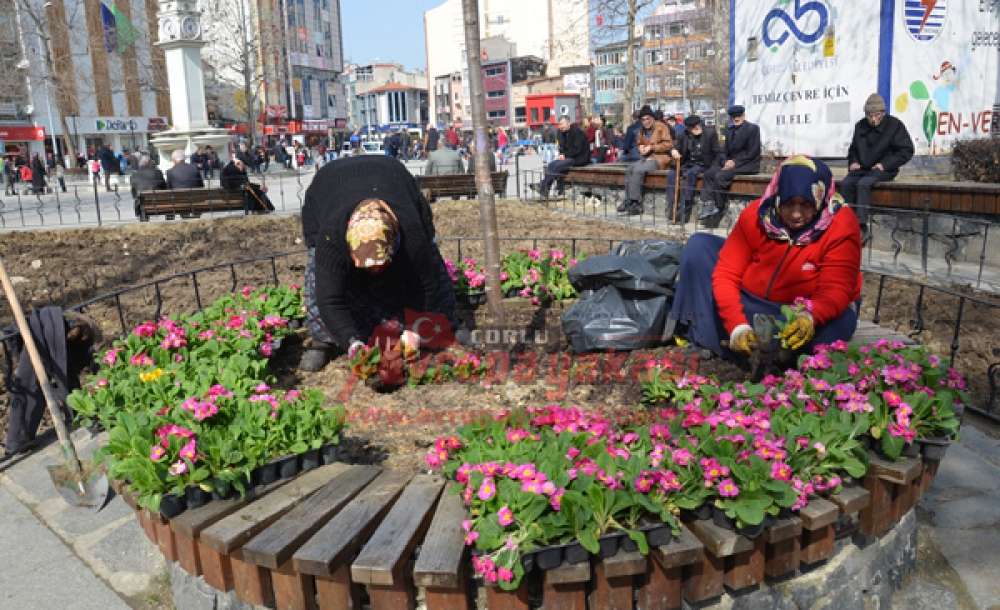 Çorlu'nun Meydanlarına Çiçek - 1