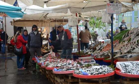 Balıkta Av Yasağı Başladı - 2