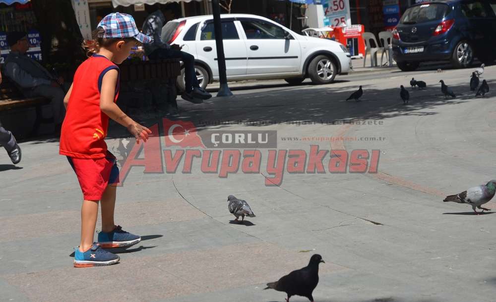 Çocukların Güvercin Mutluluğu - 2