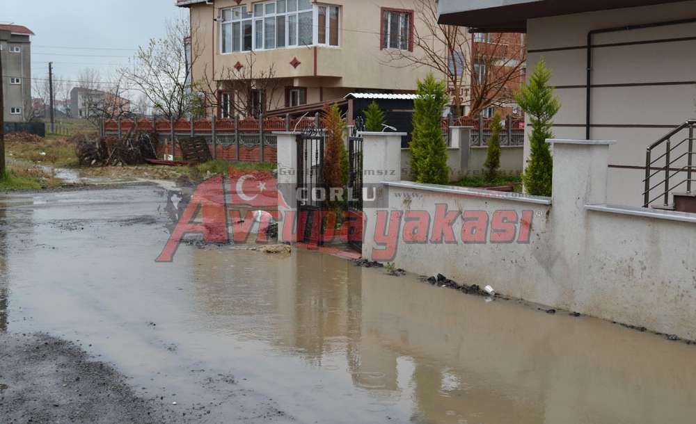 Buradan Kim Sorumu? - 3