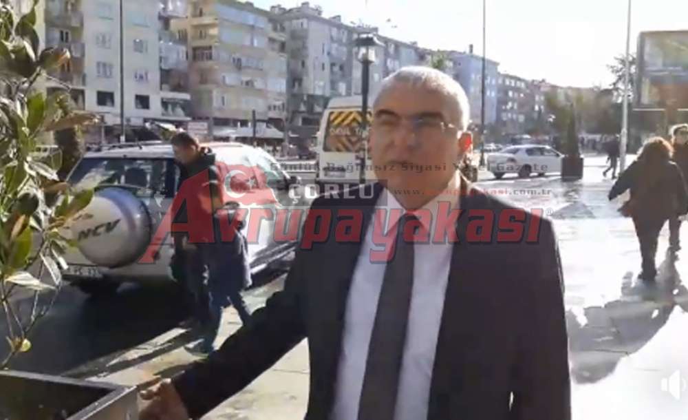 Baysan'dan Ağaç Açıklaması - 1