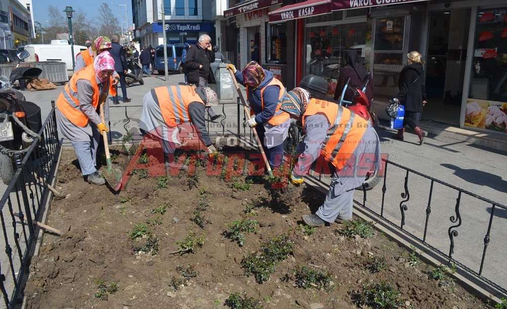 Belediye De Çalışan Kadınlar Çapa Yaptı