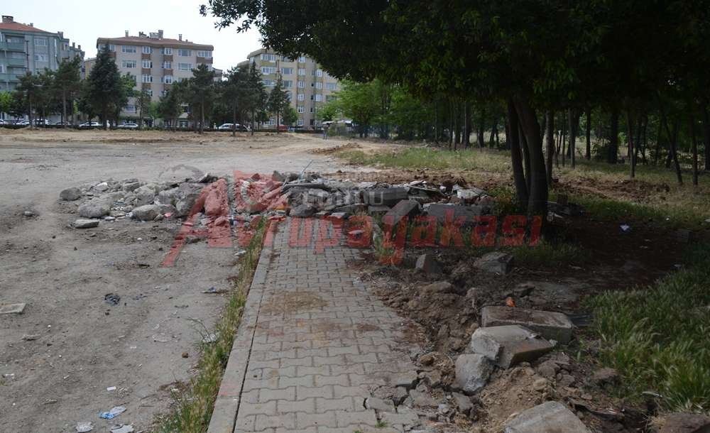Kaplumbağa Hızıyla Park Oluyor - 1