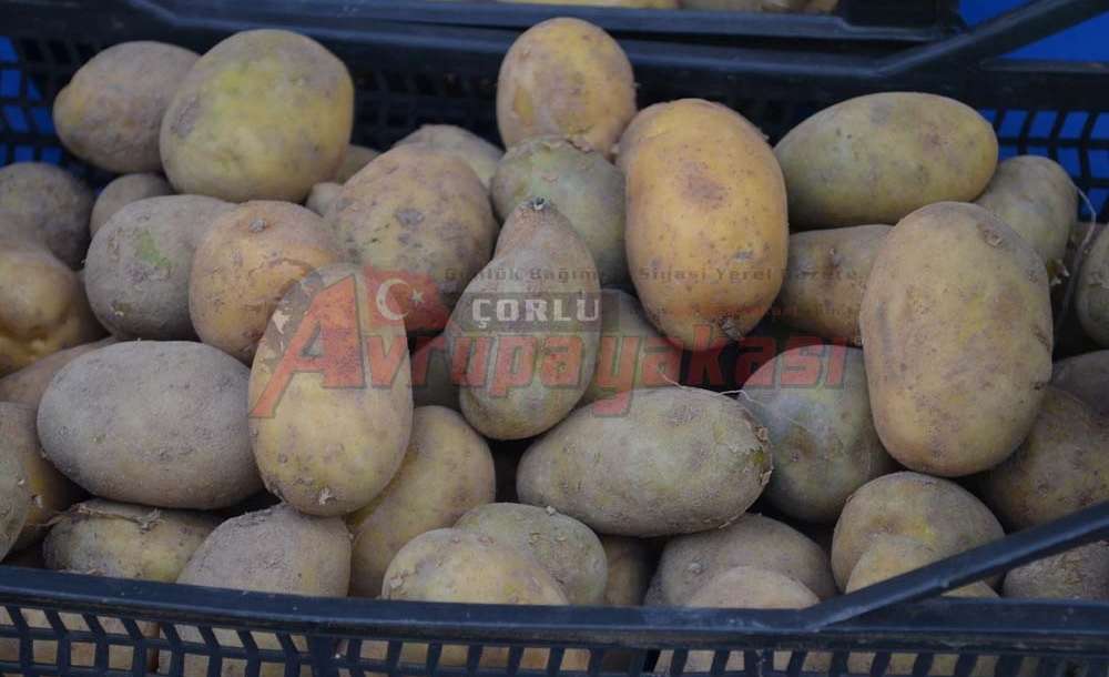 Patates Fiyatları Düşerken, Yumurta Fiyatları Tavan Yaptı
