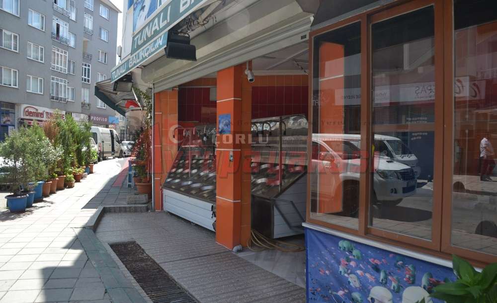 Gün Sayıyorlar