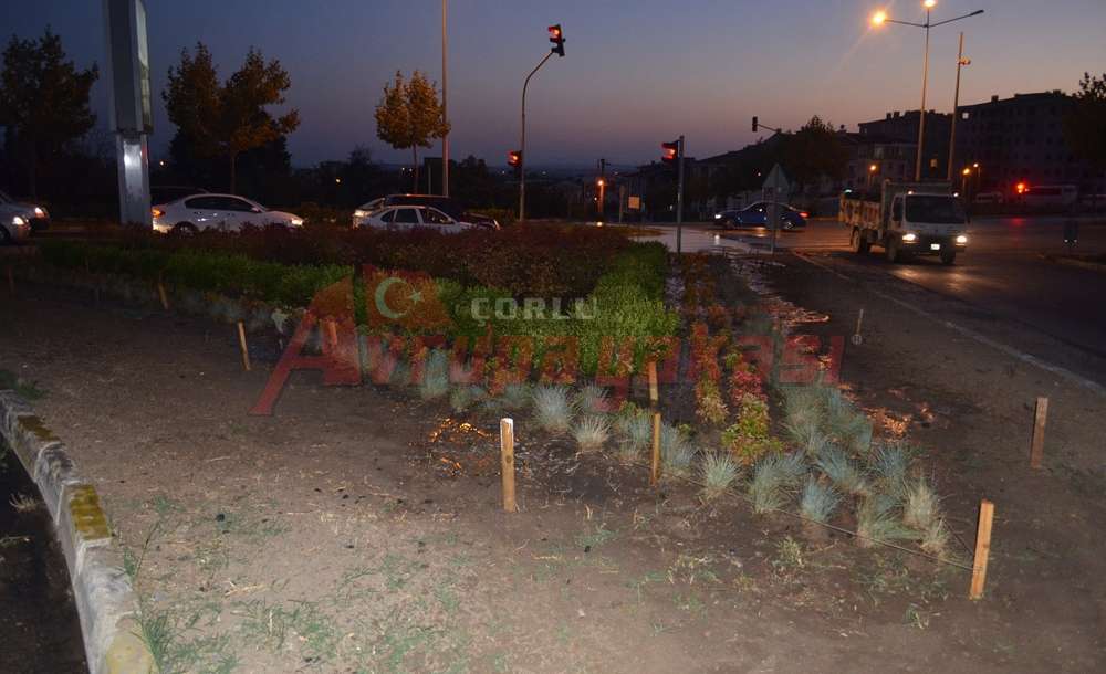 Refüjler Sulanıyor