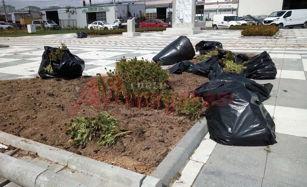 Çiçekler Söküldü