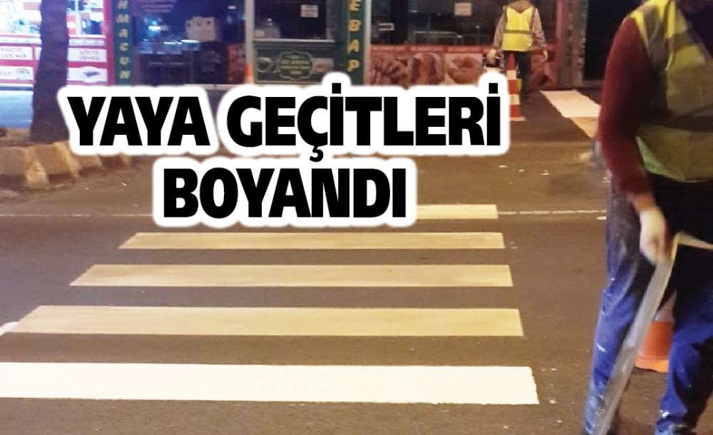 Yaya Geçitleri Boyandı