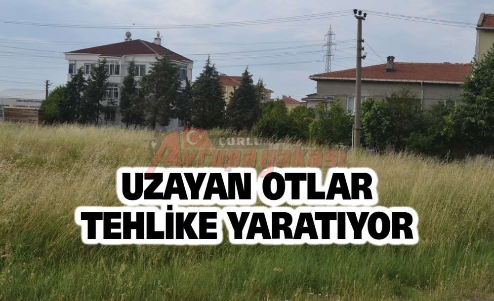 Uzayan Otlar Tehlike Yaratıyor