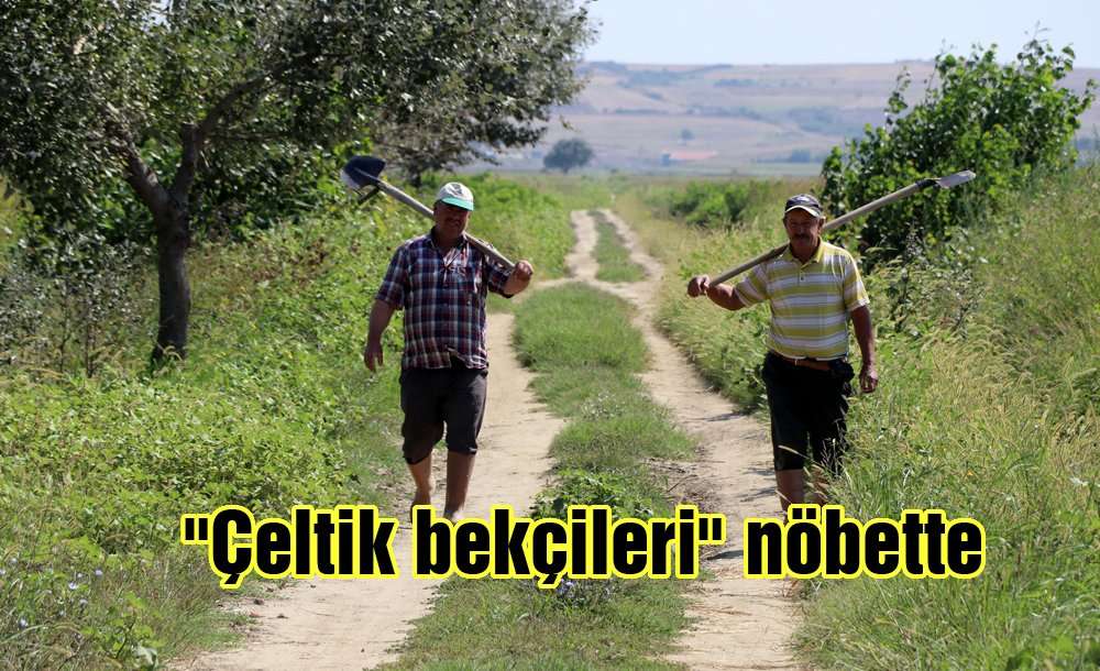 "çeltik Bekçileri" Nöbette