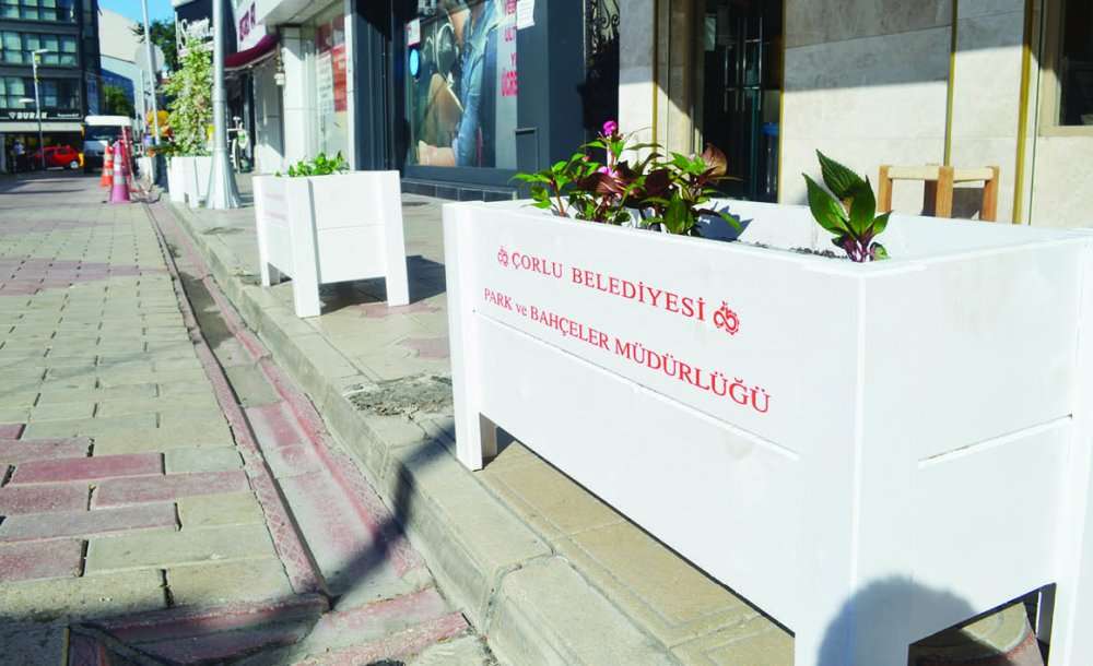 Hırsızlıkta Doruk Noktası, Çiçekleri Çalmaya Başladılar - 1