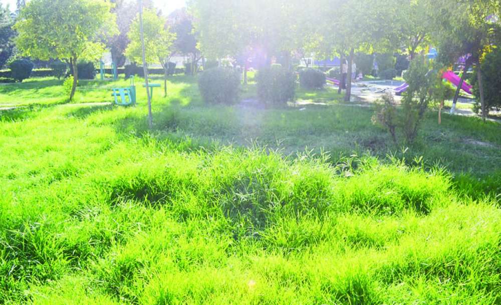 Çorlu Halkının Sesi Olmaya Devam Edeceğiz - 3
