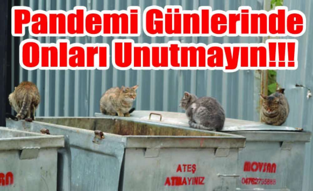 Pandemi Günlerinde Onları Unutmayın!!!