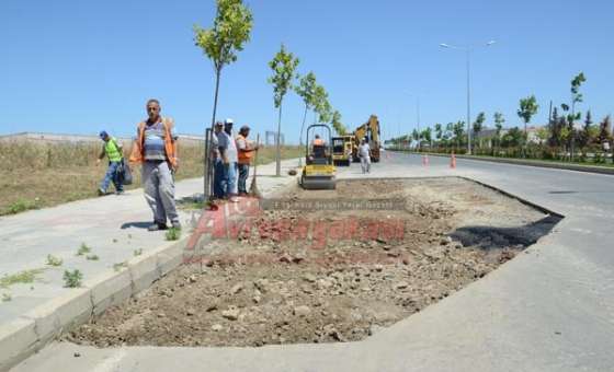 Bülent Ecevit Bulvarı'na Yamalama - 2
