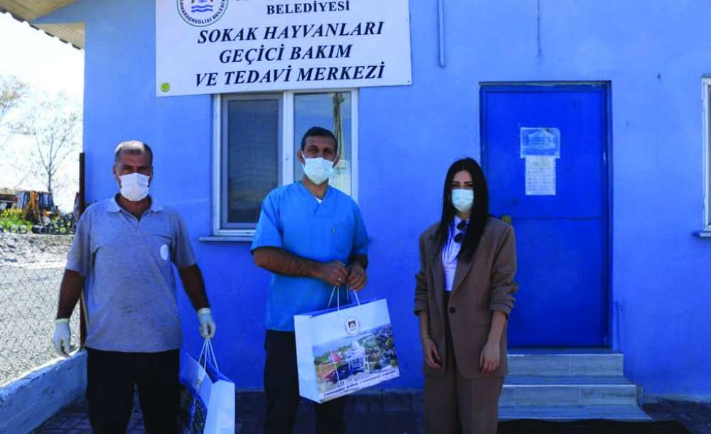Marmaraereğlisi Belediyesi Veteriner Hekimleri Unutmadı - 2