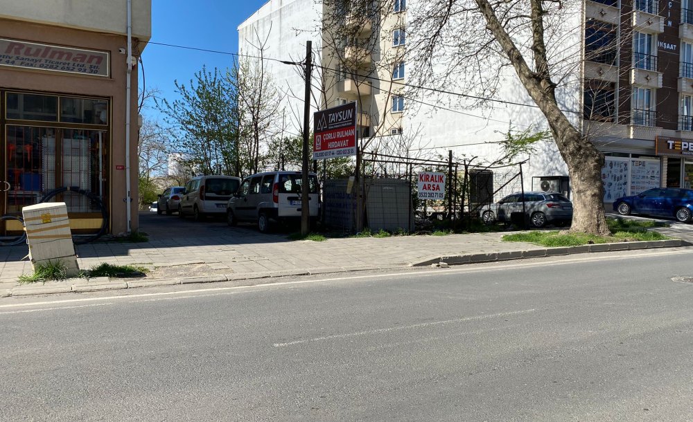 Başıboş Köpekler Hem Korkutuyor, Hem De Kazalara Sebebiyet Veriyor! - 2