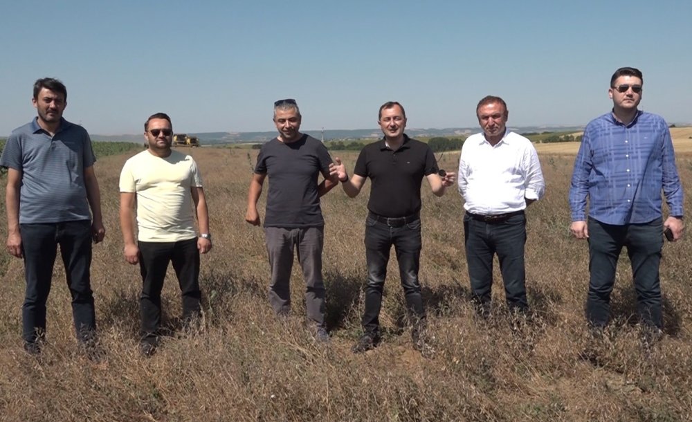 Süleymanpaşa Belediyesi Kendi Tarlalarında Yem Bitkisi Ekimi Gerçekleştirdi - 1