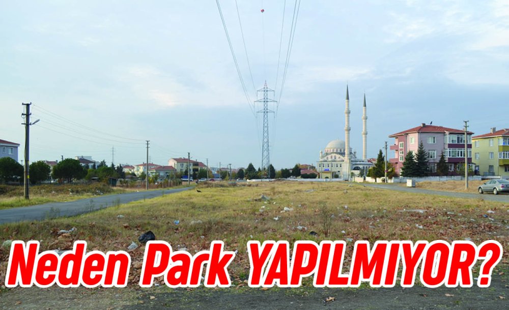 Neden Park Yapılmıyor?