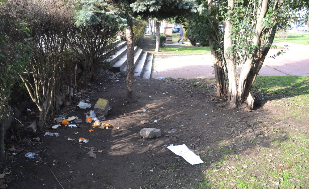 Park Pislikten Geçilmiyor! - 3