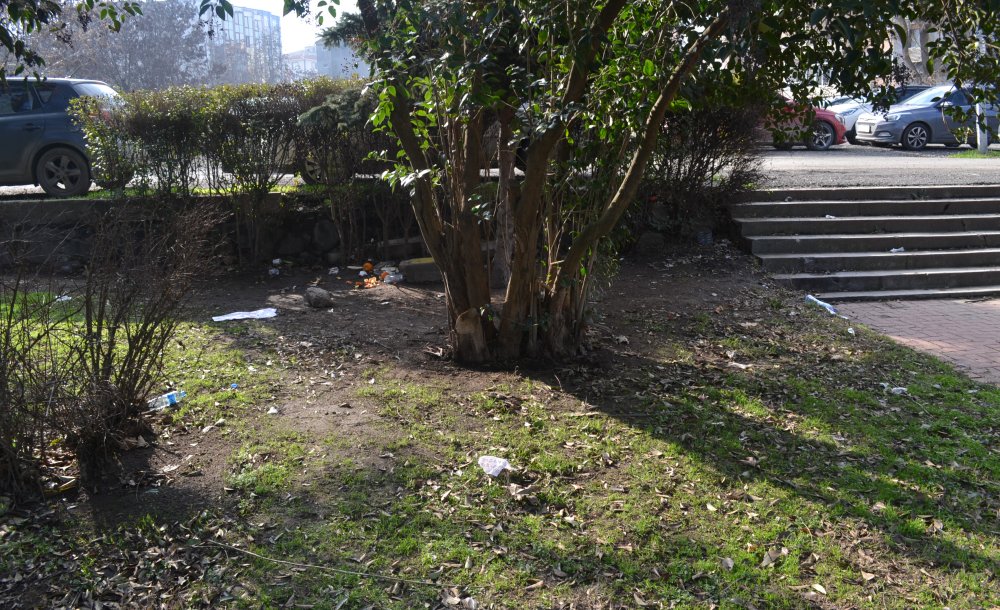 Park Pislikten Geçilmiyor! - 6