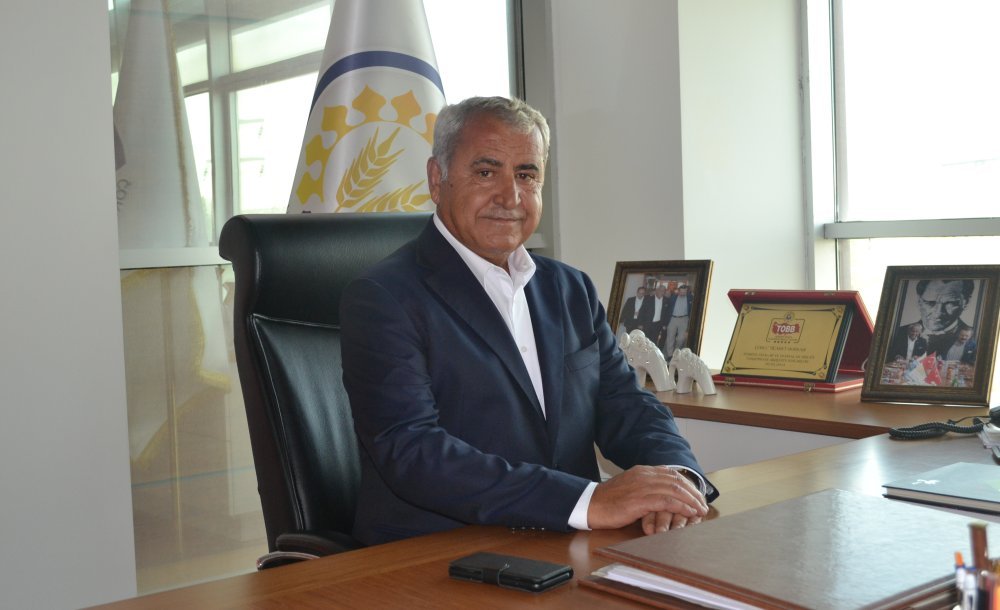Ayçiçeği Ekimi Başladi - 2