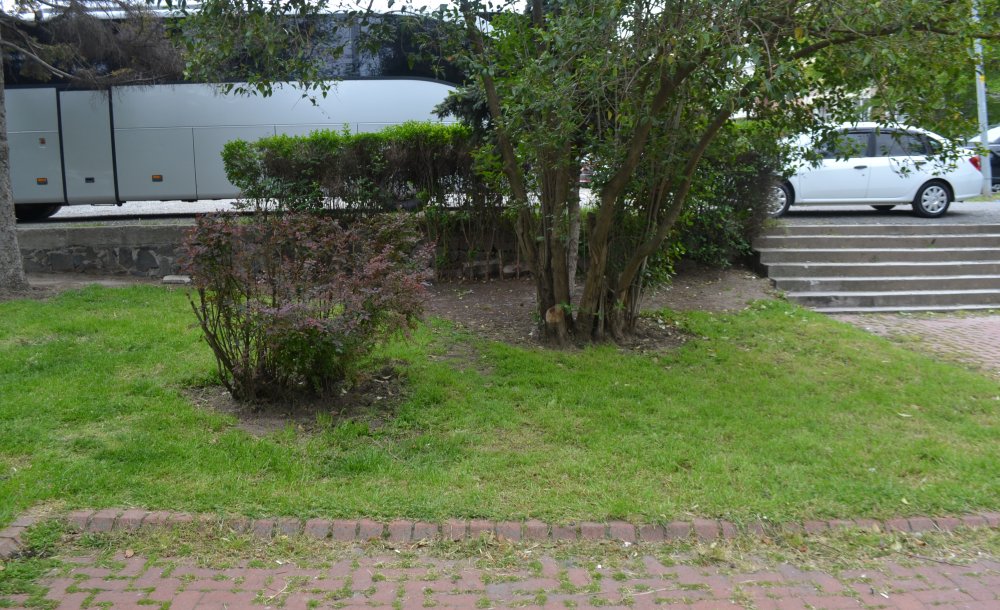 Uyuşturucu Kullanılan O Park Tertemiz - 2
