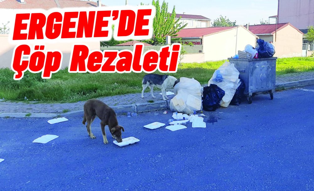 Ergene'de Çöp Rezaleti