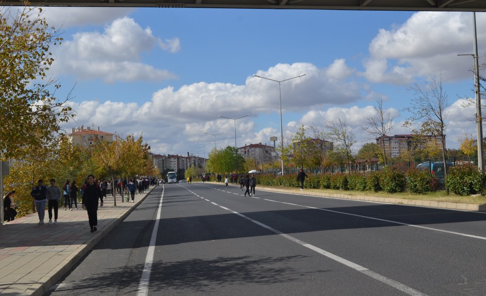 Proje Yine Başka Bahara Kaldı - 2