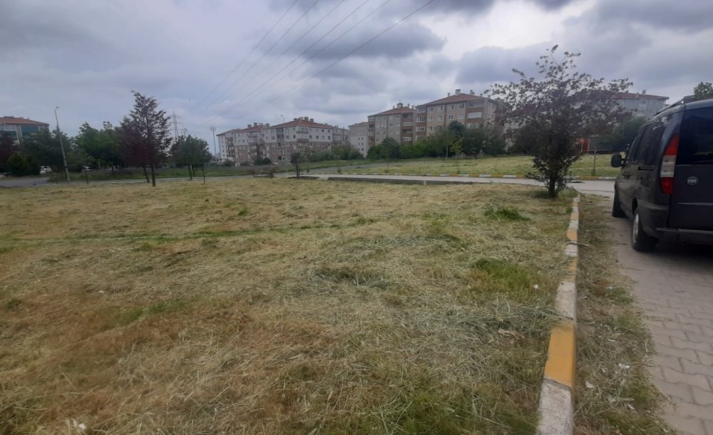 Tehlike Yaratan Otlar Biçildi