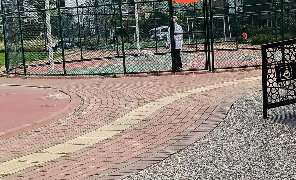 Uyarı Levhası Dikkate Alınmıyor!