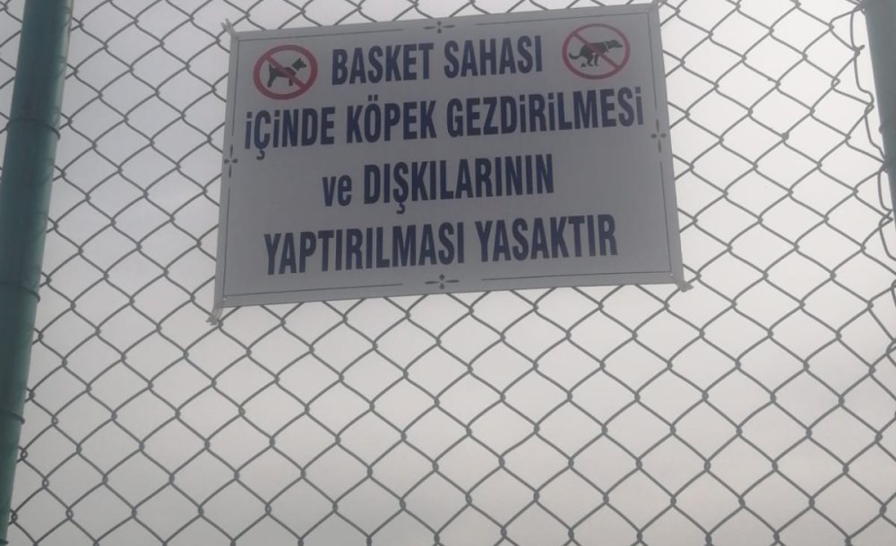 Uyarı Levhası Dikkate Alınmıyor! - 1