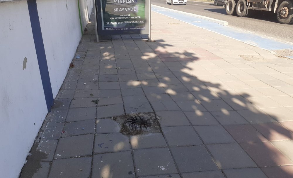 Çorlu'da Bu Görüntüler Tehlike Yaratıyor - 2