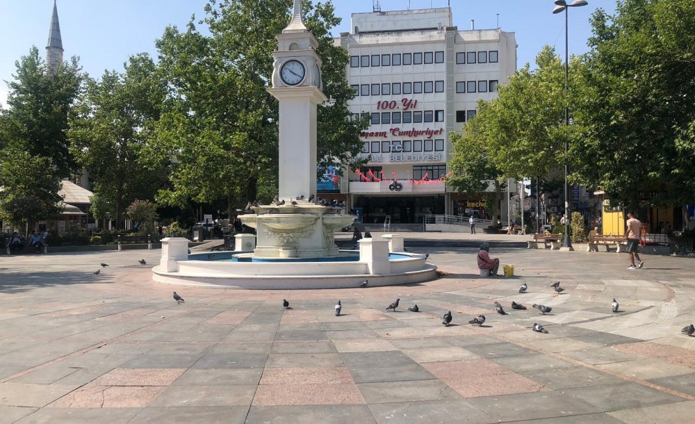Güvercinleri Hiç Mi Düşünmüyorsunuz? - 1