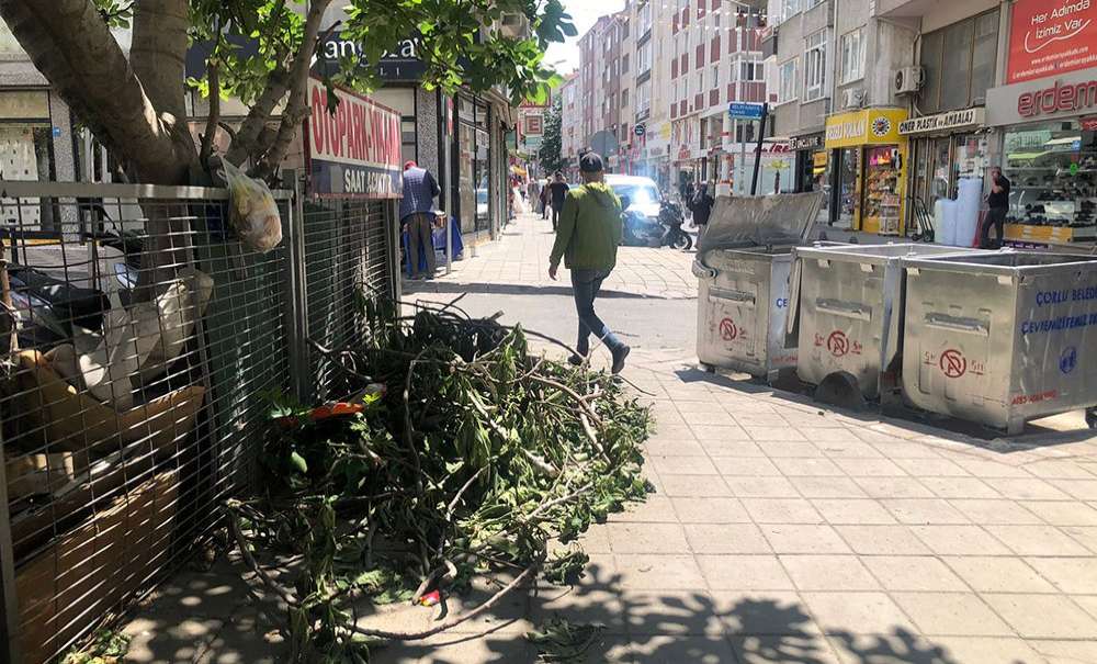 Artık Yeter, Atmayın!
