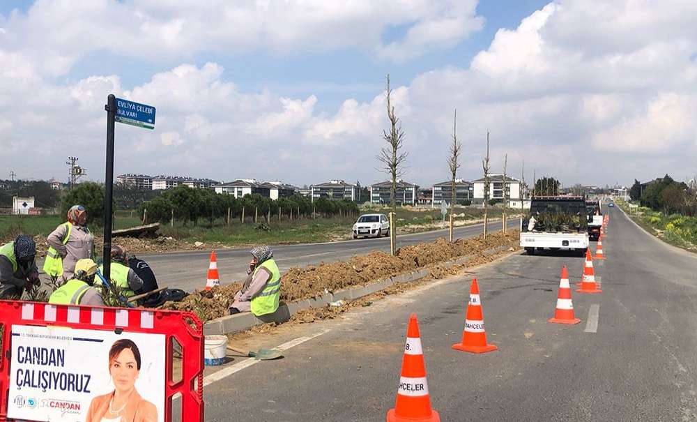 Büyükşehir Refüj Düzenlemesi Yaptı