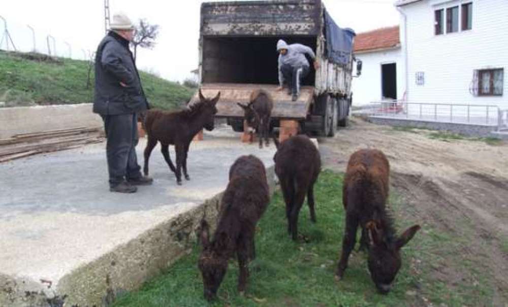 Onların Isimleri Artık
