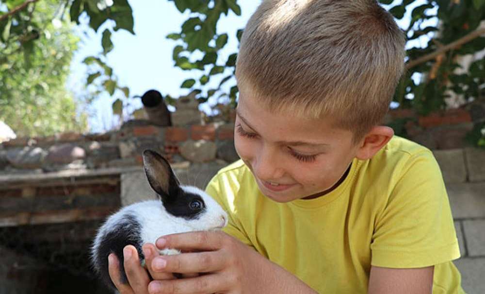 Tavşan Yetiştirme Hobisi Ekmek Kapısı Oldu