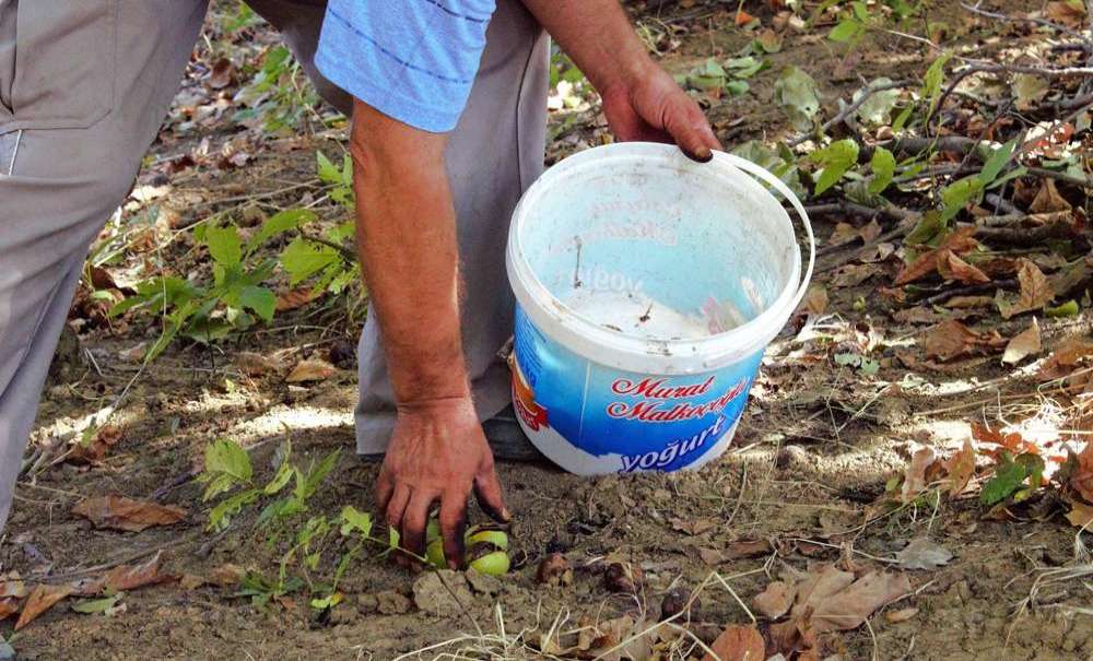 Çiftçinin Hırsızla Hikayesi Akıllara Durgunluk Getirdi