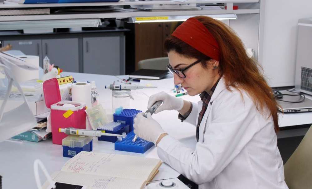 (Özel Haber) Trakya'da Ayçiçeği Daha Verimli Hale Geliyor